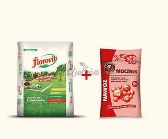 Czy mocznik na trawnik? Oto, co powinieneś wiedzieć!