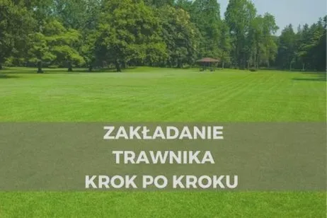 Ile kosztuje założenie trawnika? Ceny za m² i przykładowy budżet