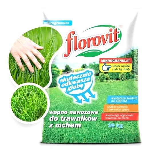 Jak rozpoznać zakwaszony trawnik? Objawy, na które warto zwrócić uwagę