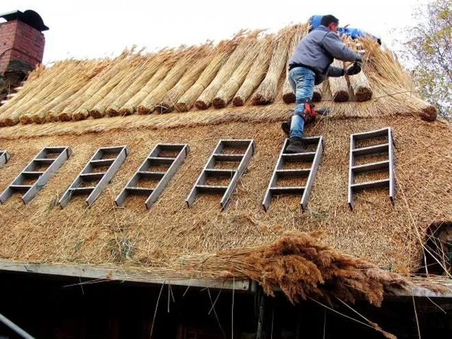 Jak stworzyć zachwycający dach z trzciny – poradnik krok po kroku