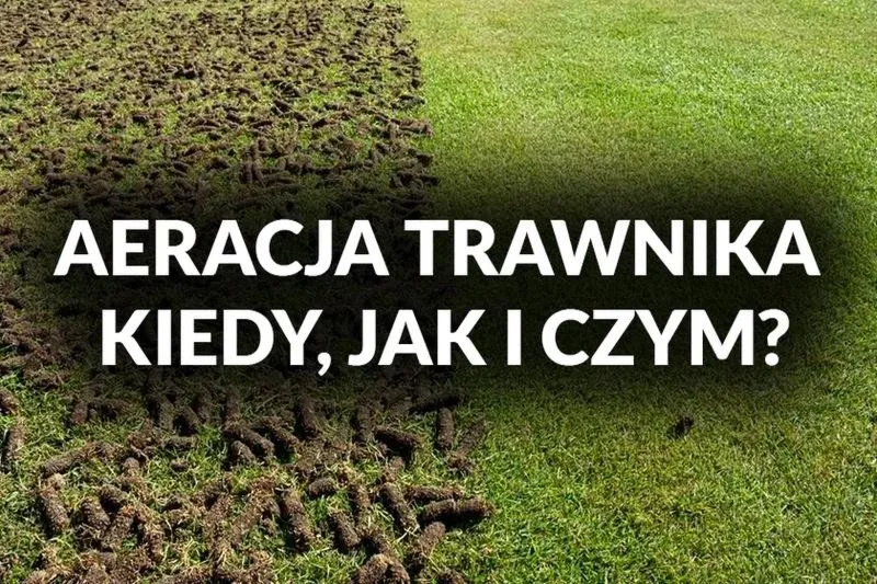 Kiedy warto przeprowadzać aerację trawnika dla zdrowego wzrostu?