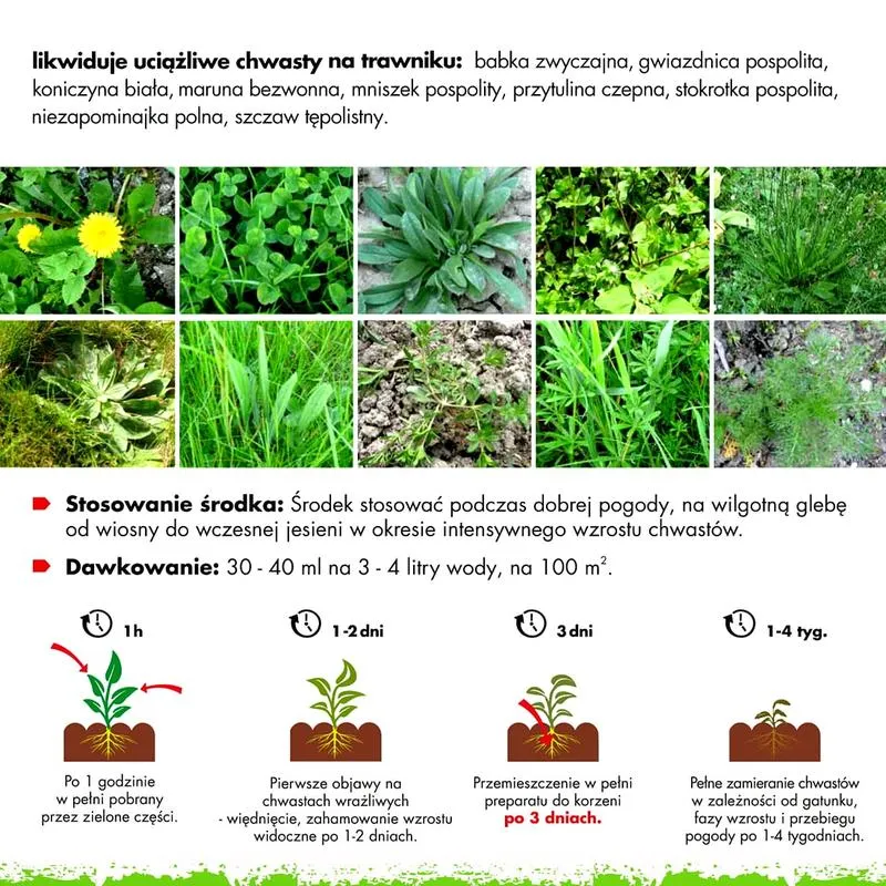 Skuteczne sposoby na rozwiązywanie problemu z zielskiem w trawniku