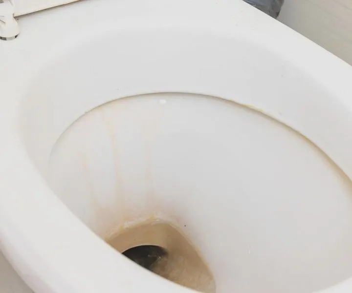 Skuteczne sposoby na to, jak zlikwidować kamień w toalecie