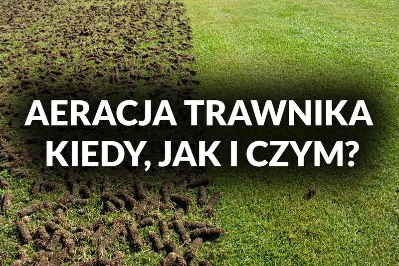 Aeracja trawnika