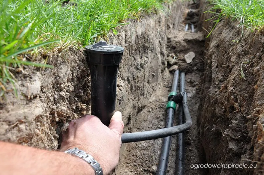 Automatyczne nawadnianie trawnika