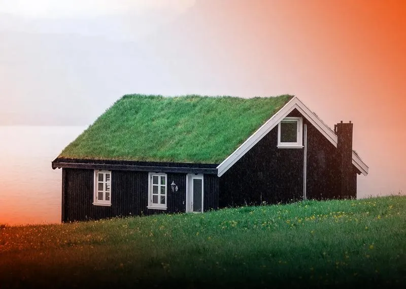 Domowe sposoby na mech