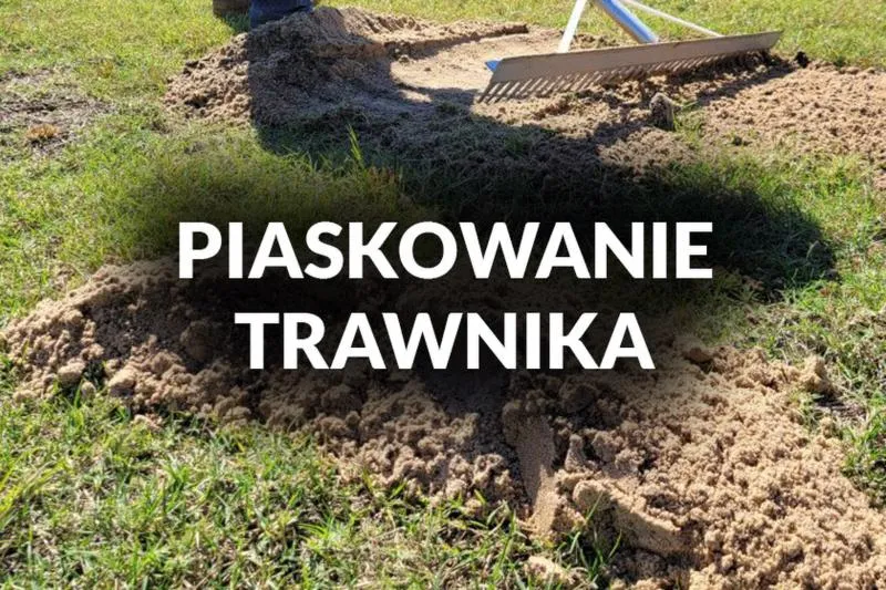 Korzyści z piaskowania trawnika