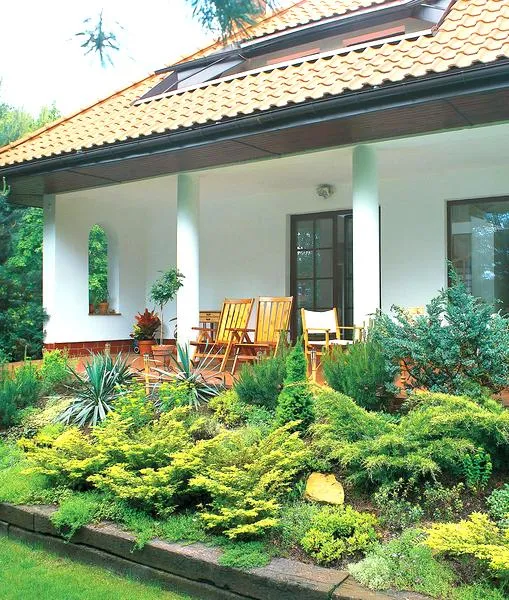 Krzewy przy tarasie