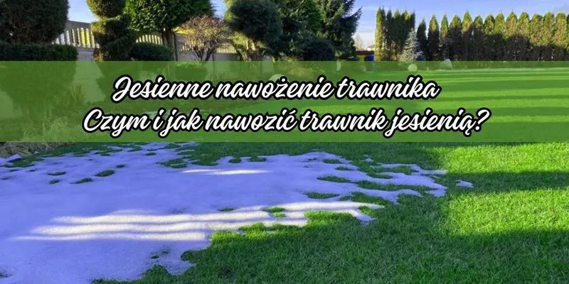 Najlepszy nawóz na zimę