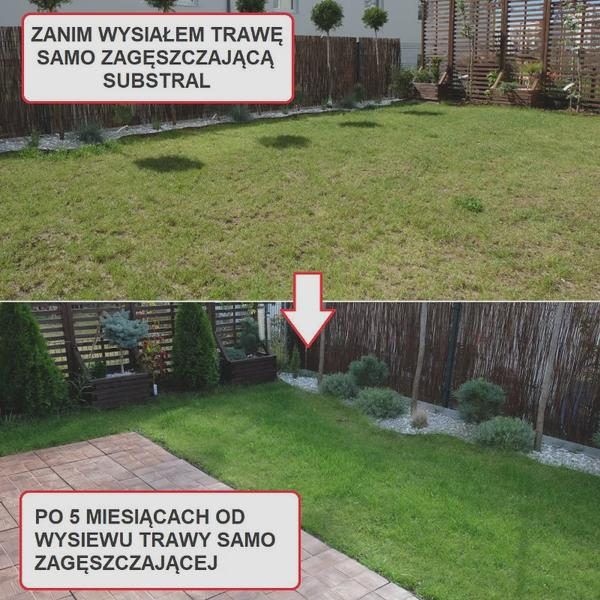 Pielęgnacja murawy