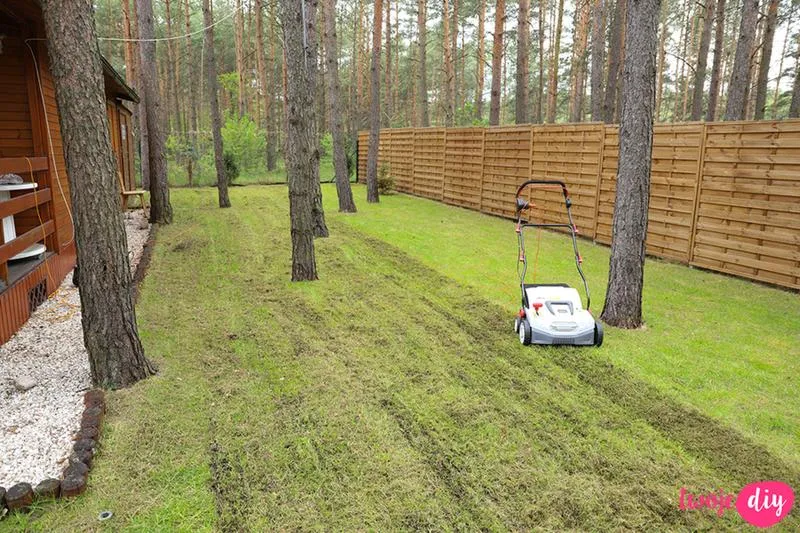 Pielęgnacja trawnika