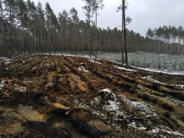 Poprawa jakości gleby