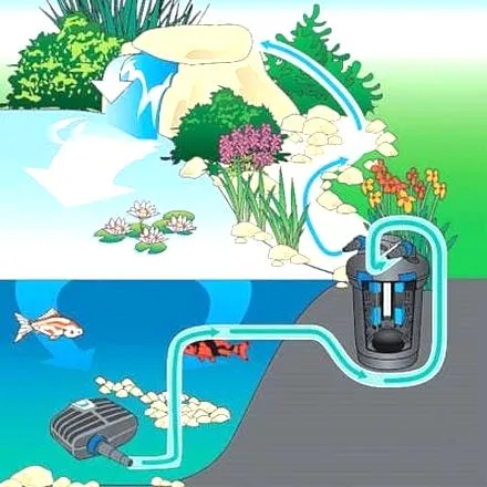 Rodzaje pomp do oczek