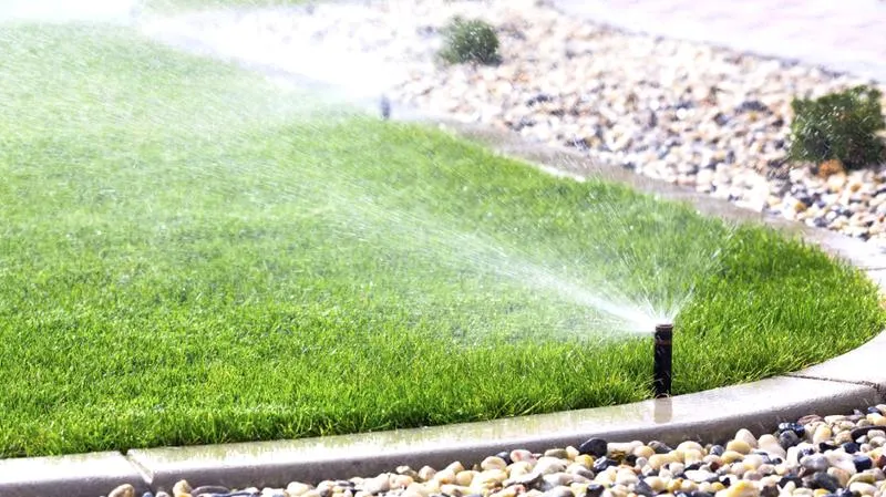 Skuteczne nawadnianie trawnika