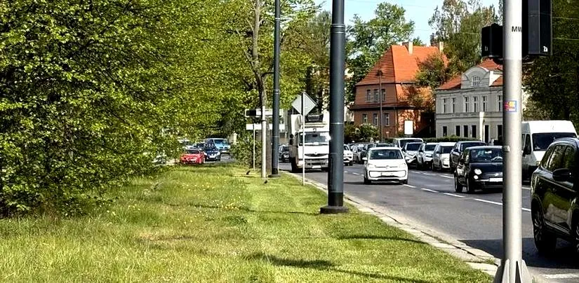 Staranie trawniki w ogrodzie