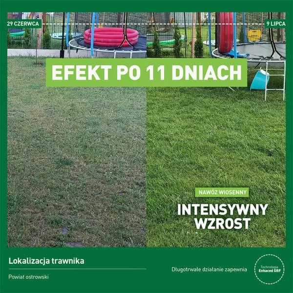 Wiosenne zabiegi ogrodnicze