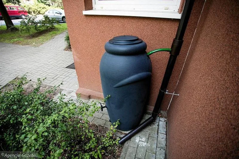 Współczynnik spływu