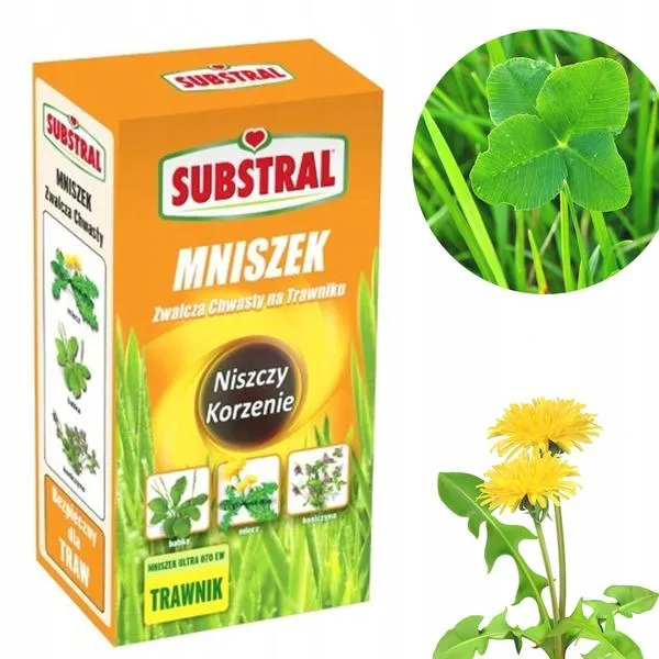 Zwalczanie chwastów w trawniku